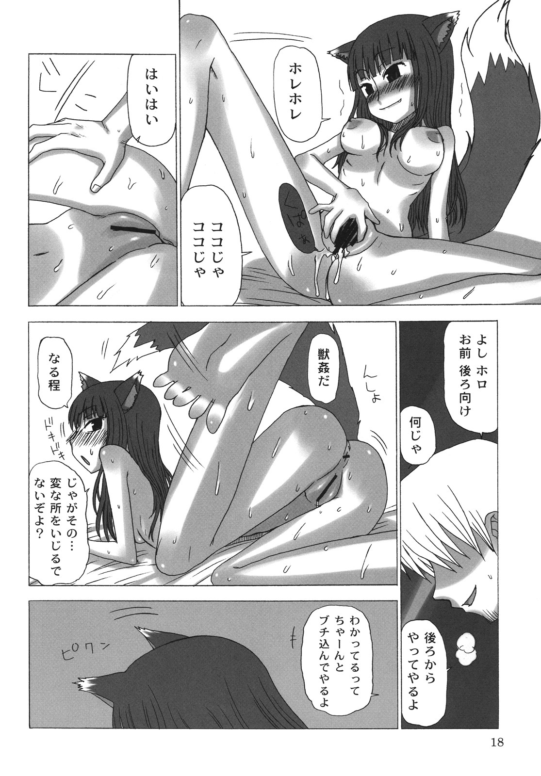 (COMIC1☆2) [サナダジルシ (サナダ)] 晴れたら満月とちゃいますのん? (狼と香辛料)