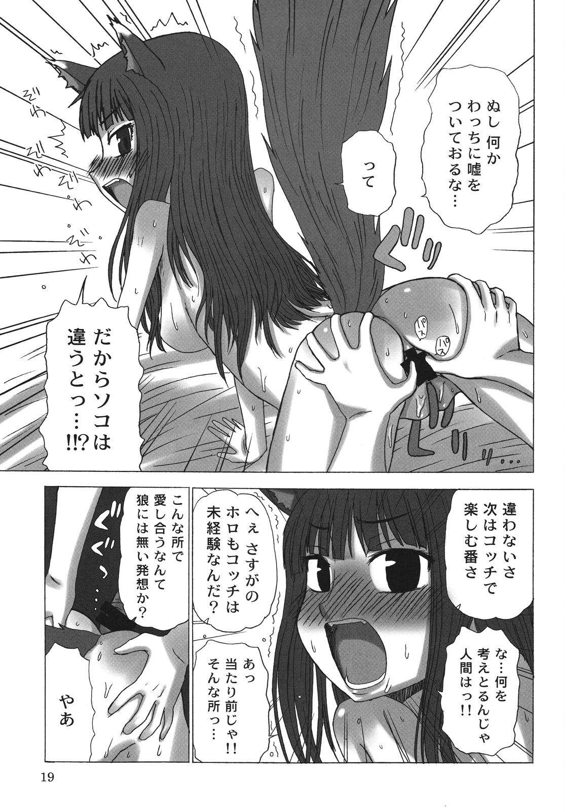 (COMIC1☆2) [サナダジルシ (サナダ)] 晴れたら満月とちゃいますのん? (狼と香辛料)