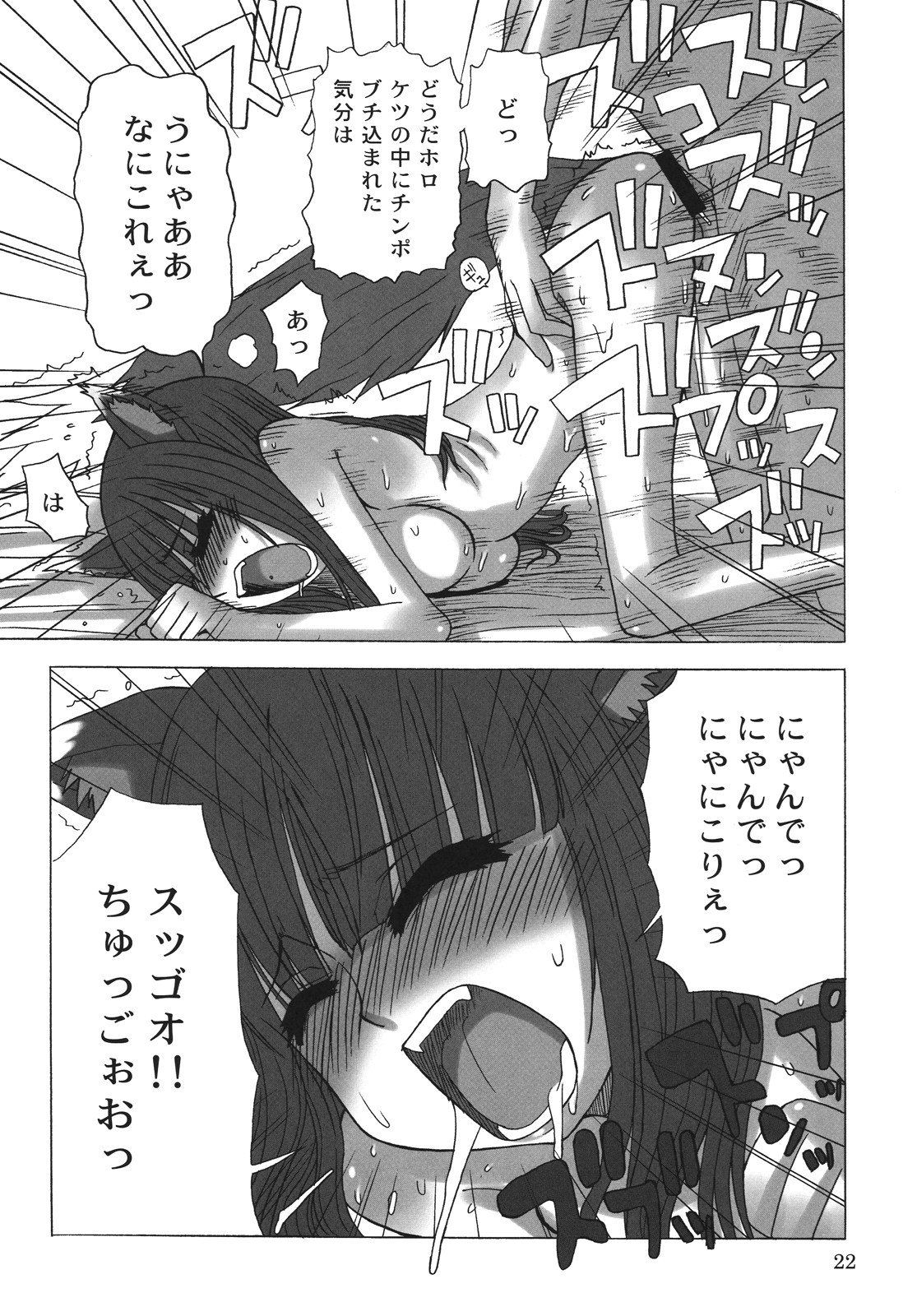 (COMIC1☆2) [サナダジルシ (サナダ)] 晴れたら満月とちゃいますのん? (狼と香辛料)