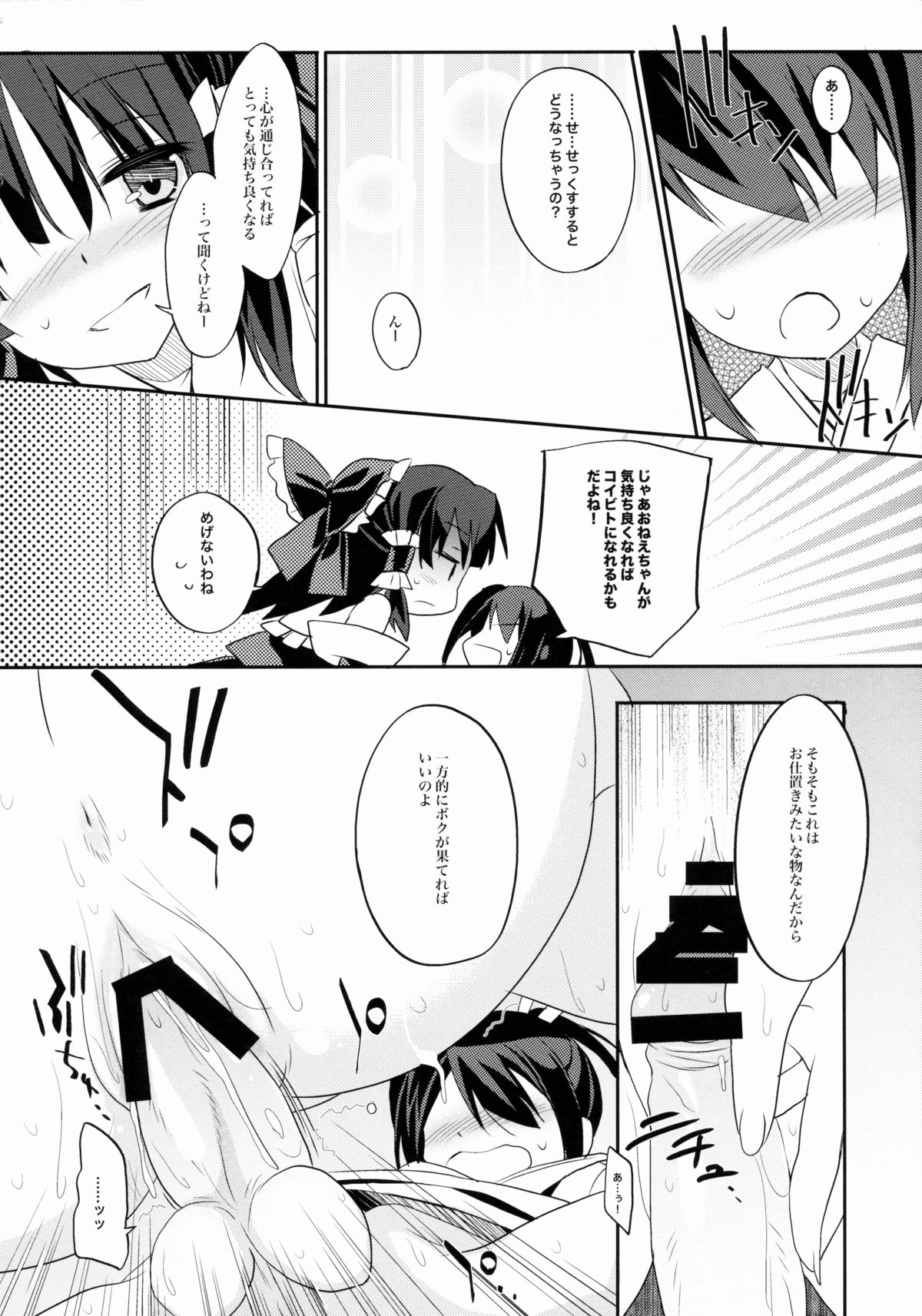 (C88) [とりあえず(仮) (とろろ)] レイム×テラコ (東方Project)