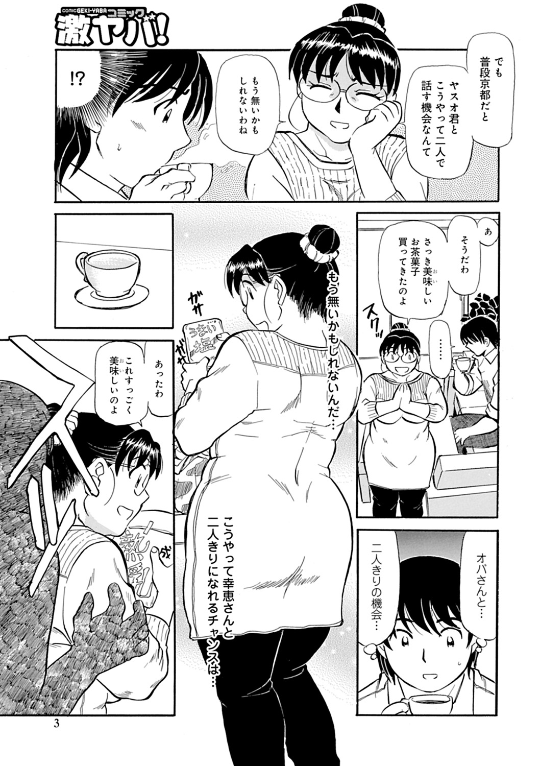 [ふじさわたつろうー] 母さん朝まで抱くよ！！～幸恵シリーズ総集編～ [DL版]