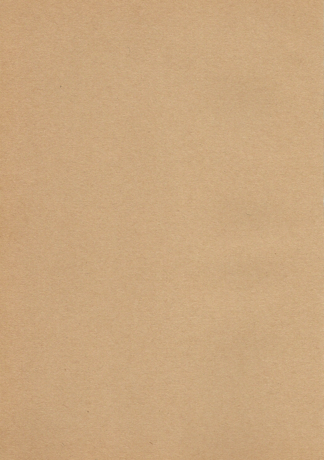 (C80) [B.BRS. (B.tarou)] 魔女と南瓜と戦乙女 (タクティクスオウガ)