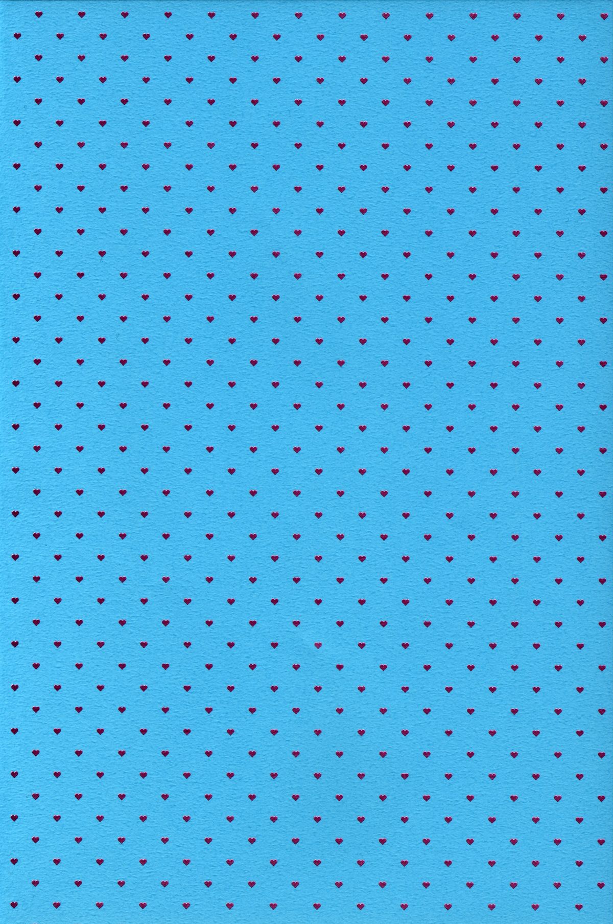 (C88) [チームキハラ (もじゃりん)] OH!MY!CYAN! (SHOW BY ROCK!!)