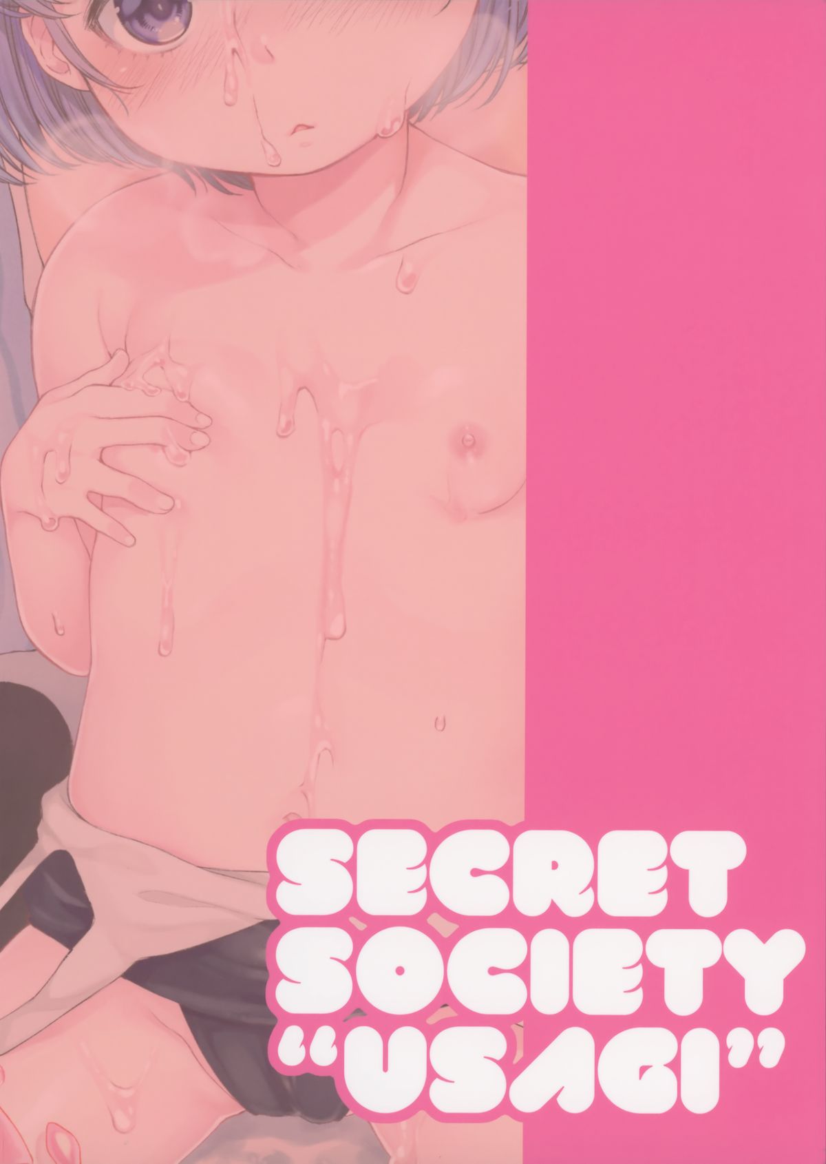 (C88) [秘密結社うさぎ (だんちょ)] CUSTOM LOVECATs 2nd