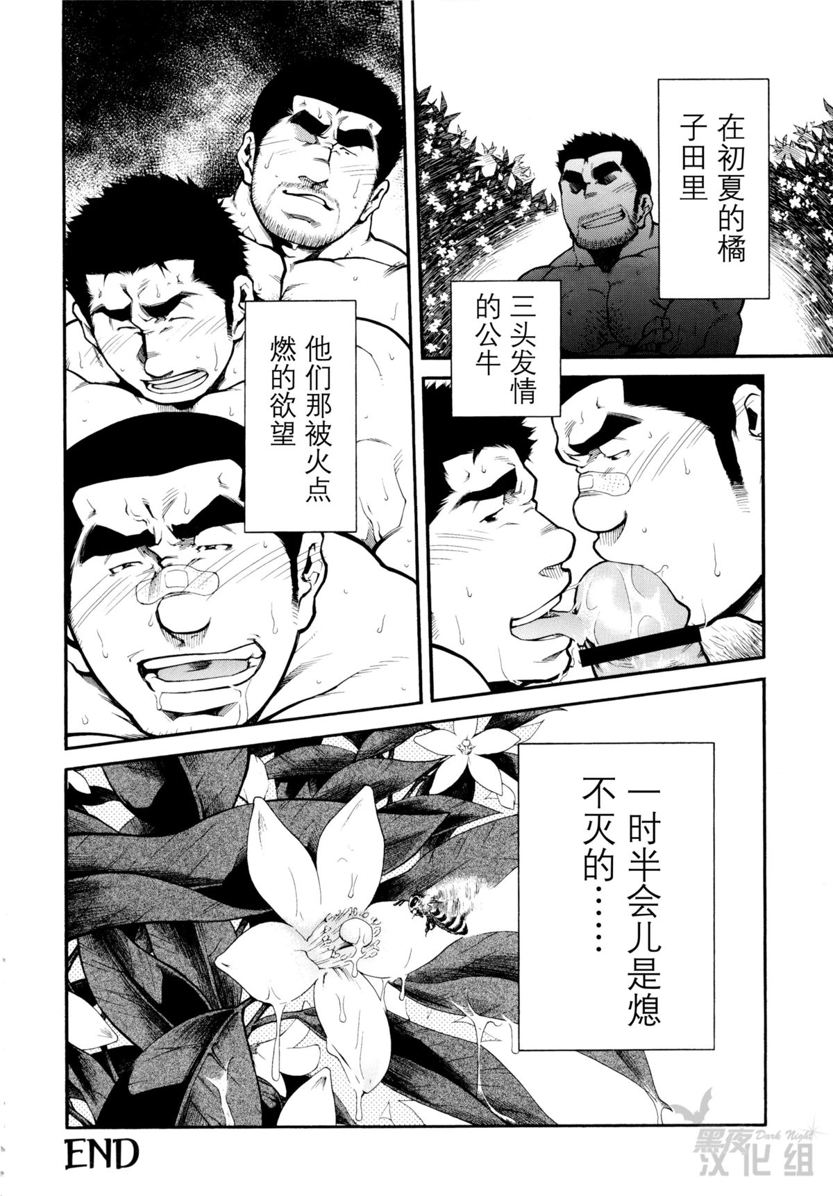 [晃次郎] オス蜂の蜜 [中国翻訳]