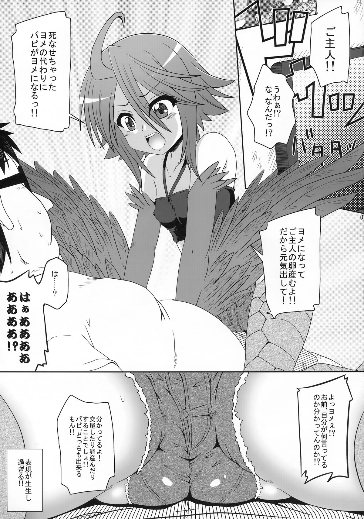 (C88) [かめぽてる (戌月ジロウ)] ハーピーが隣にいる日常 (モンスター娘のいる日常)