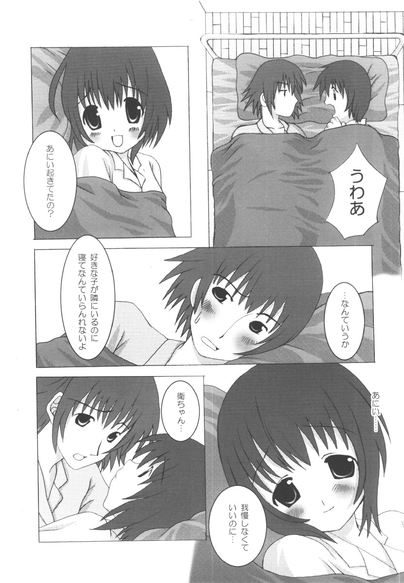 [にがりずむ (仁賀湊一郎)] きみがすき。(シスター・プリンセス)