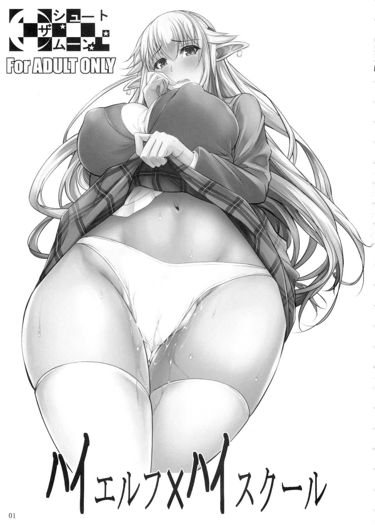 (C87) [シュート・ザ・ムーン (フエタキシ)] ハイエルフ×ハイスクール