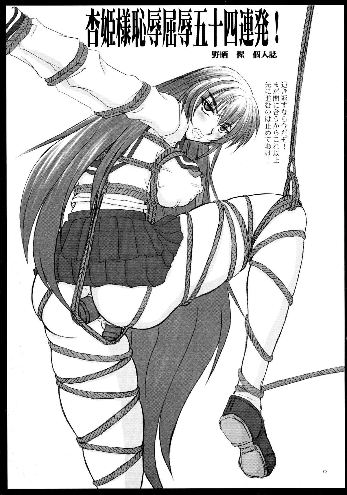 (C67) [のざらし (野晒惺)] 杏姫様恥辱屈辱五十四連発!