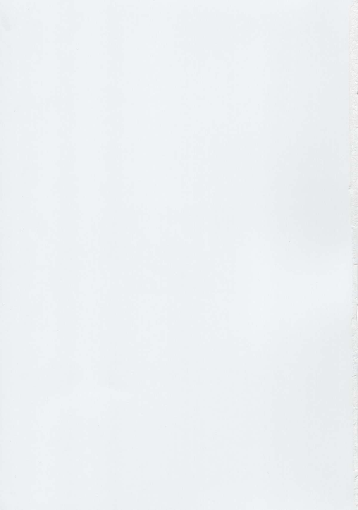 (C88) [RUBBISH選別隊 (無望菜志)] RE22 (Fate/stay night) [中国翻訳]