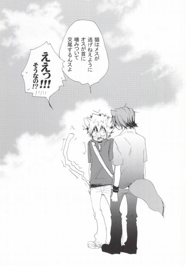 (C77) [BBP (和泉棒子)] LOVE らぷれす (家庭教師ヒットマンREBORN!)