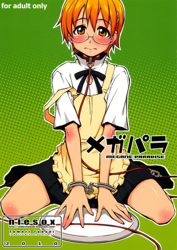 (C79) [niesox (たもりただぢ)] メガパラ (WORKING!!)