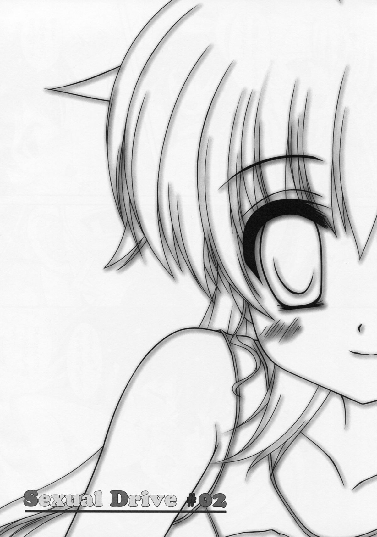 (C84) [まや邸 (麻野まや)] Sexual Drive #02 (魔法少女リリカルなのは)