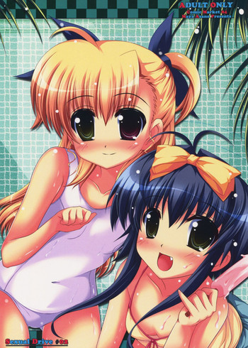 (C84) [まや邸 (麻野まや)] Sexual Drive #02 (魔法少女リリカルなのは)