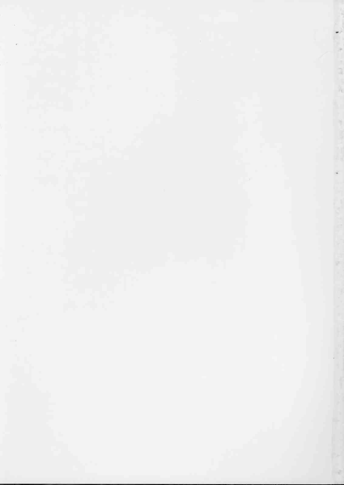 (C68) [翡翠亭 (和泉つばす)] ねこたま (トゥハート2)