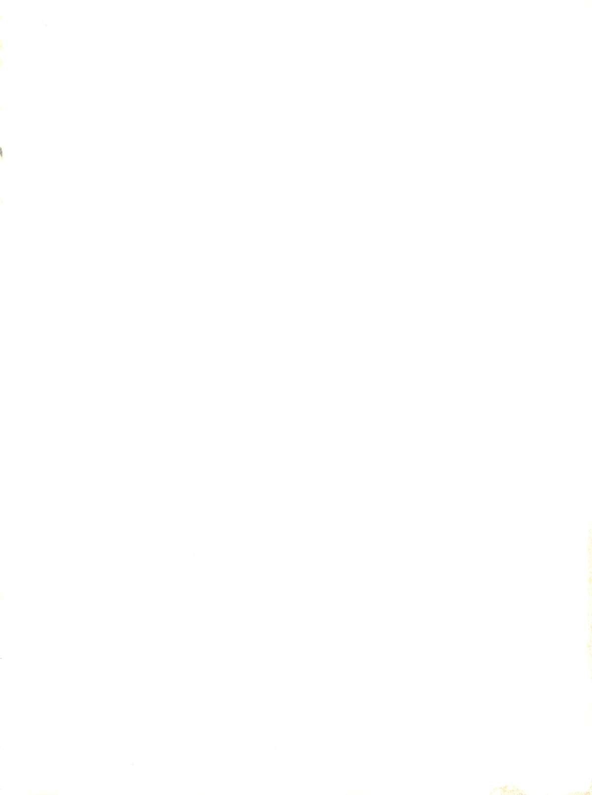 (C56) [鹿鳴館 (鹿鳴叶)] DYNAMIC WAS RUBY (カードキャプターさくら)