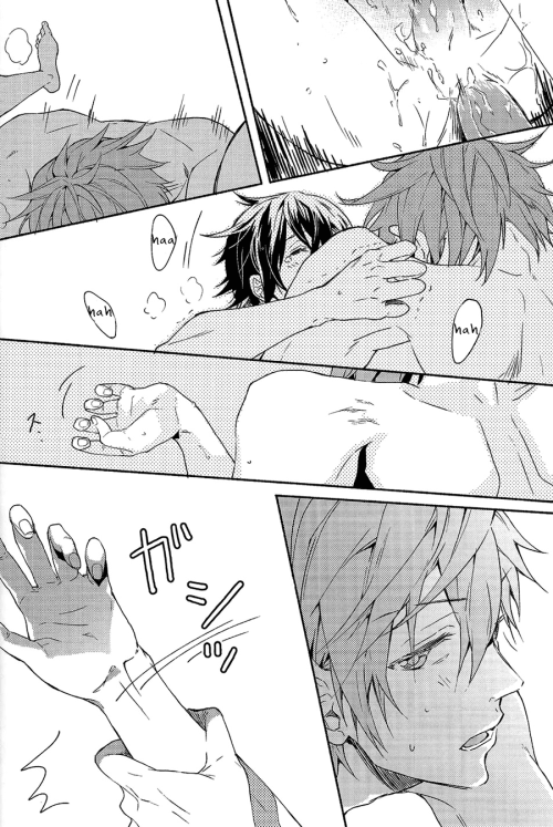 (恋愛自由形!大阪大会) [mememery (hash)] gravity (Free!) [英訳]