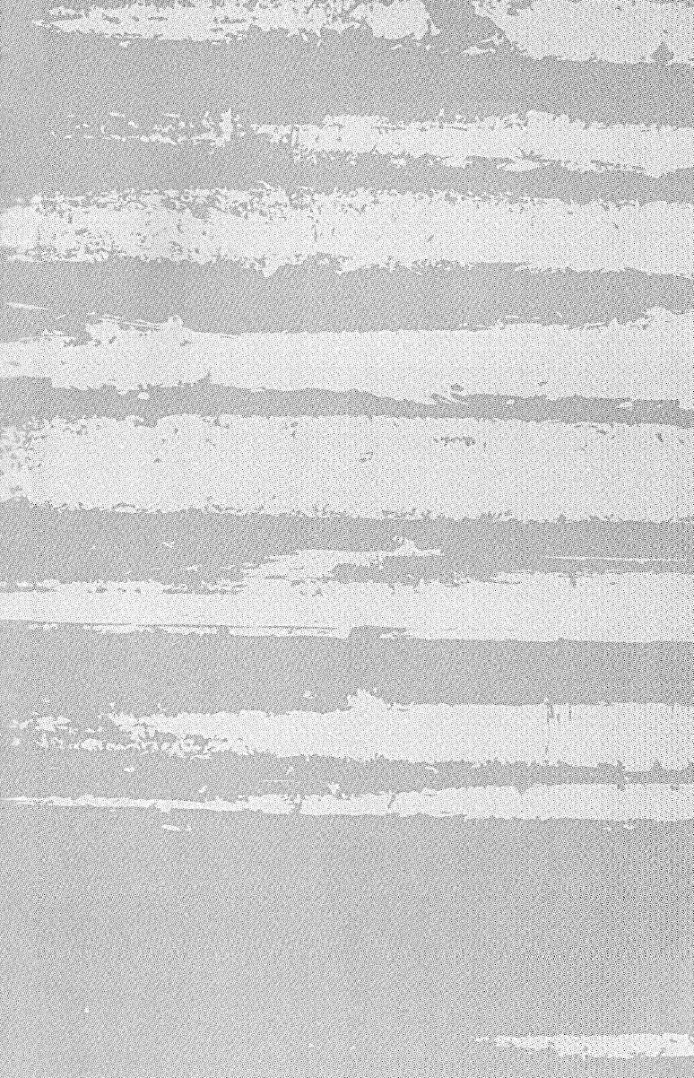 (C77) [sigmastar (架月)] open your... (Axis Powers ヘタリア) [英訳]