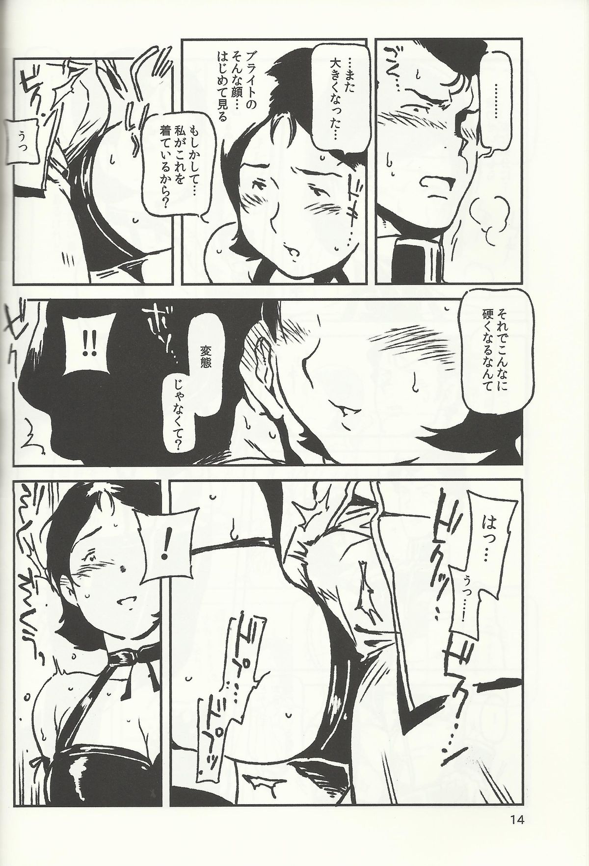 (C77) [方角屋 (南北)] SM戦記 (機動戦士ガンダム)