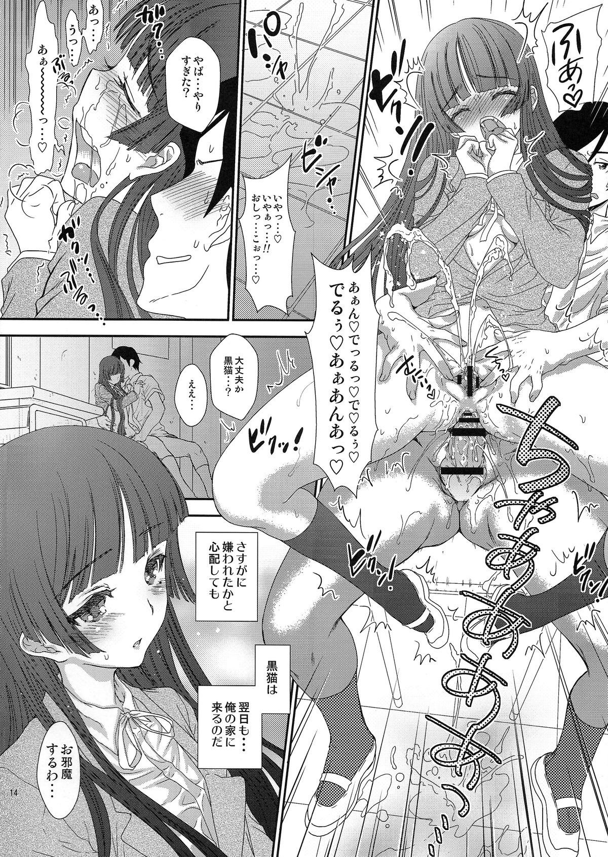 (C79) [少女月蝕 (嶋尾和)] クロネコイズム (俺の妹がこんなに可愛いわけがない)