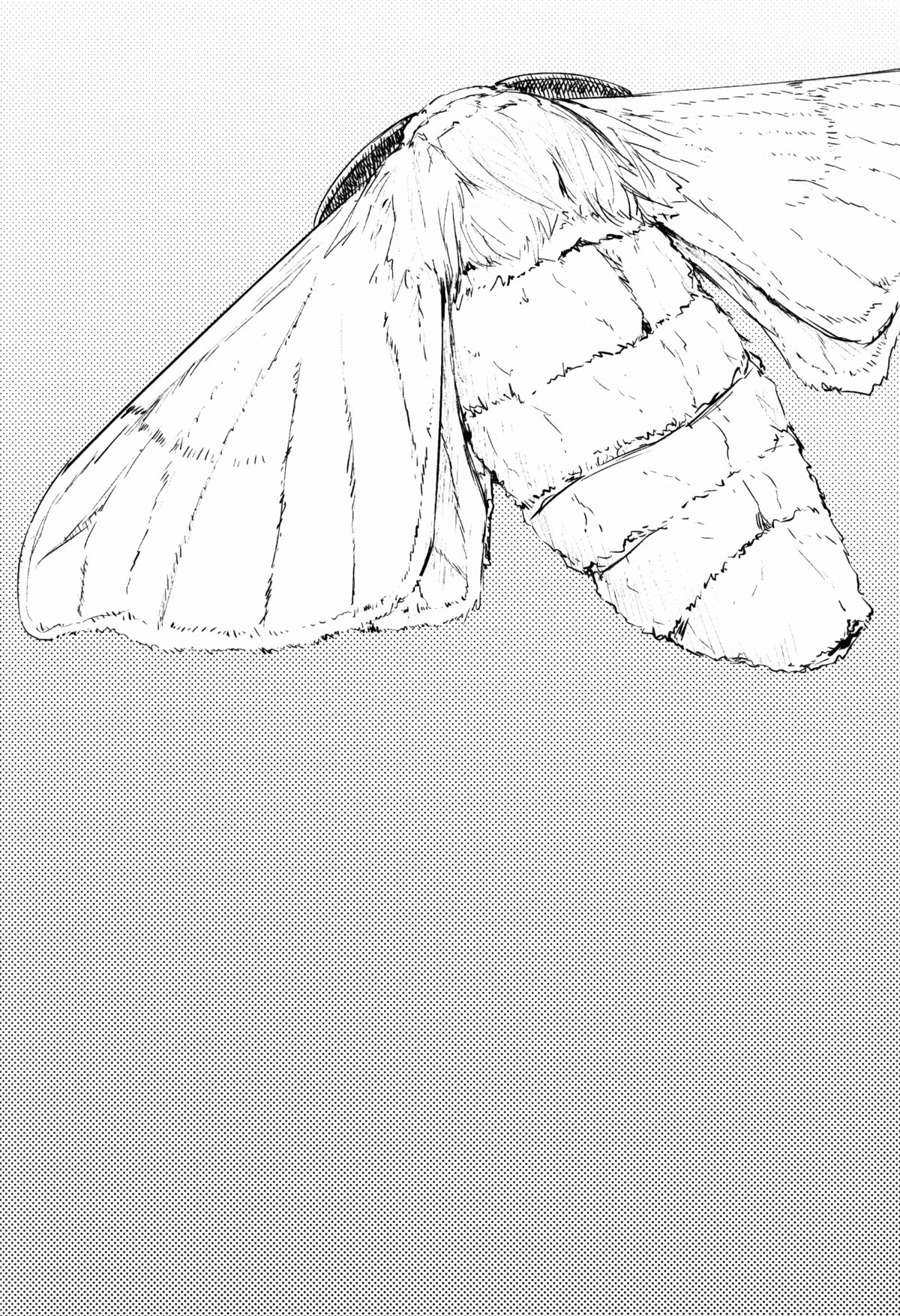 (COMIC1☆9) [鮭缶メモリアル (ソロピップB)] 白襲-袂-