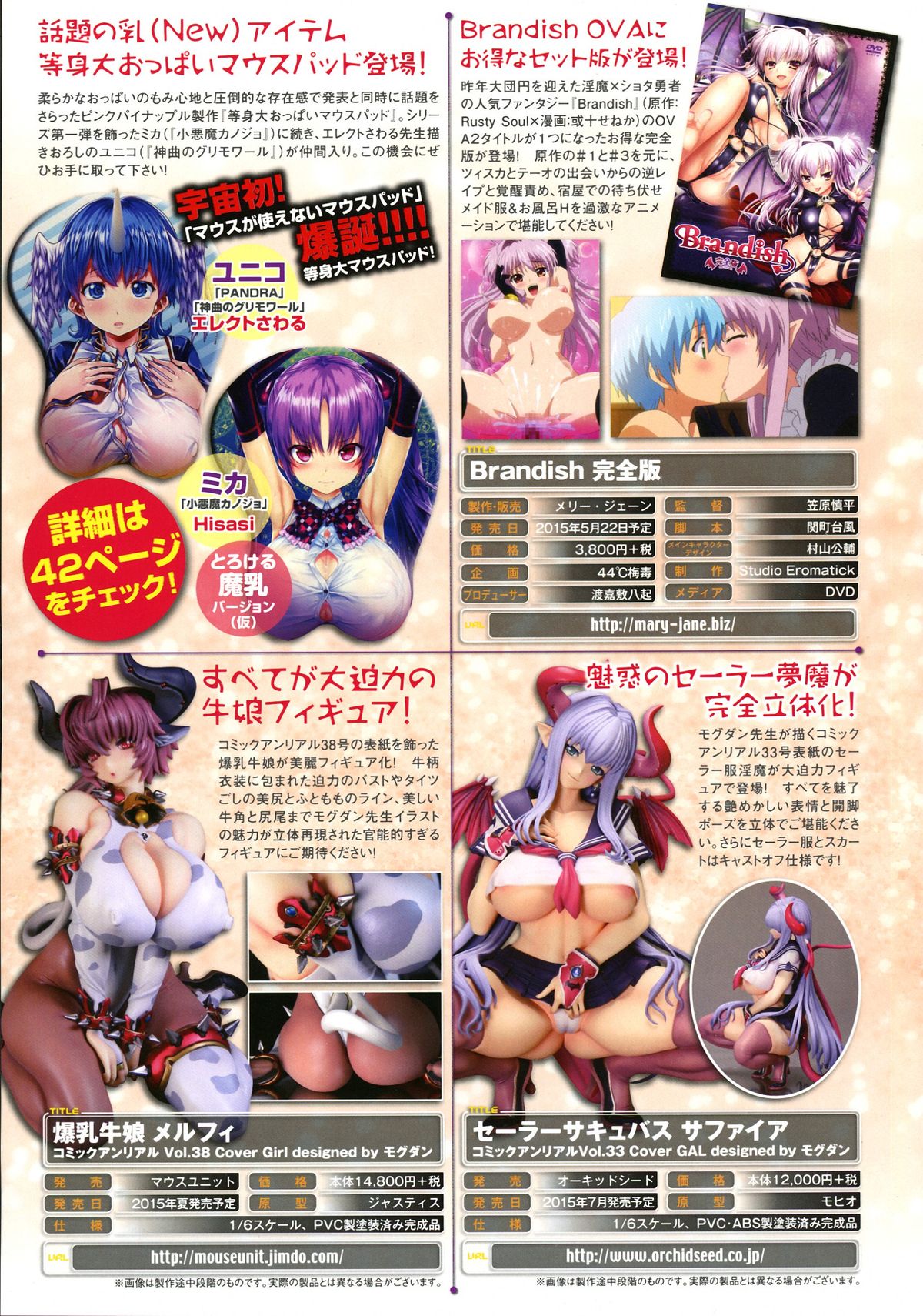 コミックアンリアル 2015年6月号 Vol.55 + Hisasiイラスト集