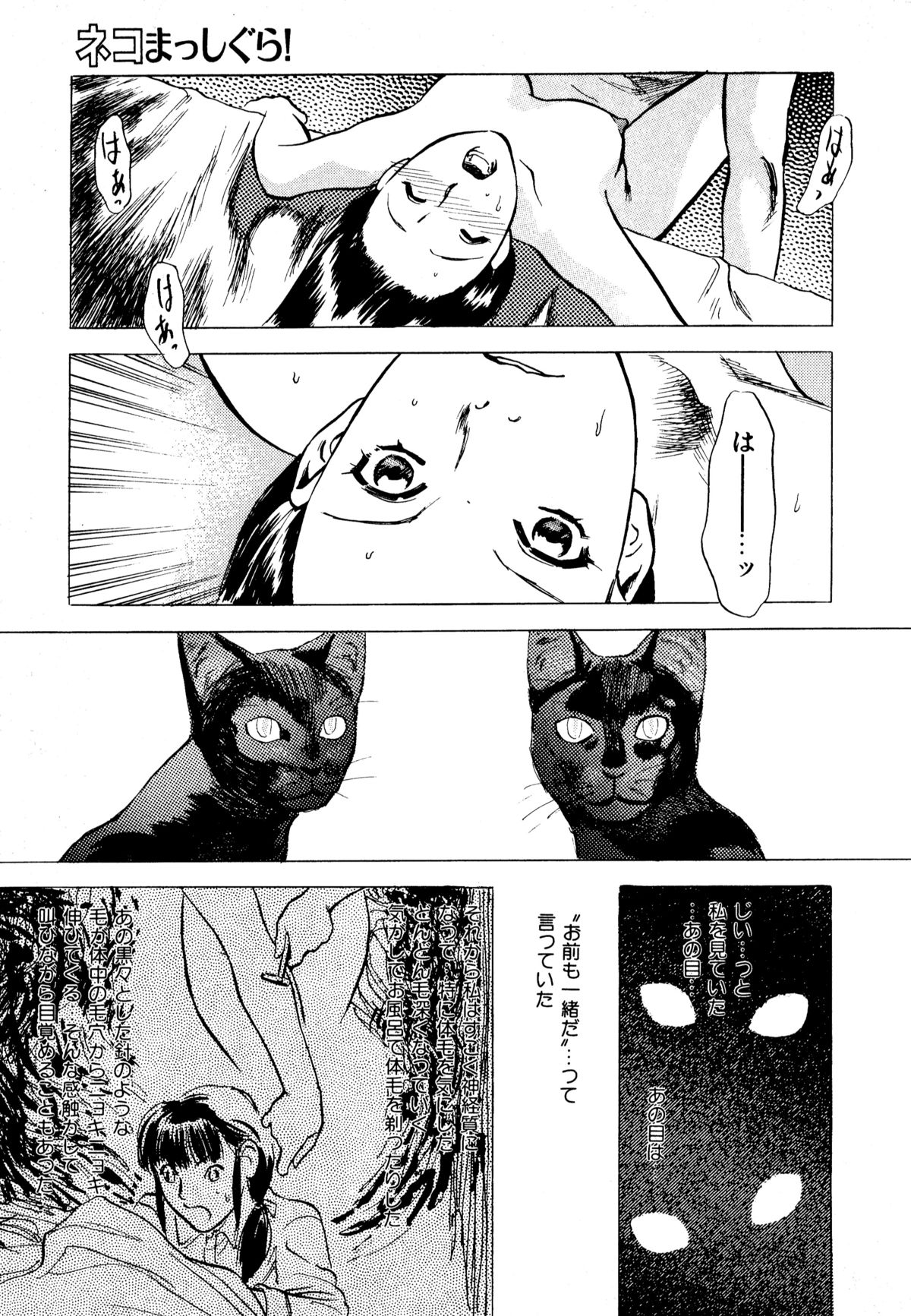 [アンソロジー] ネコまっしぐら!