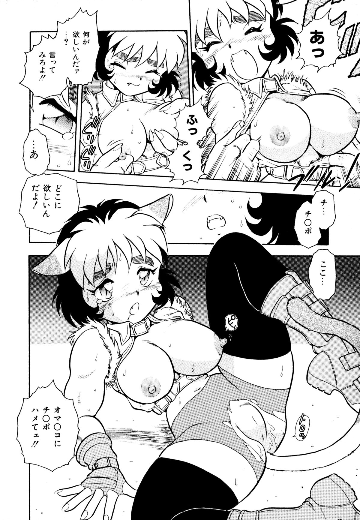 [アンソロジー] ネコまっしぐら!