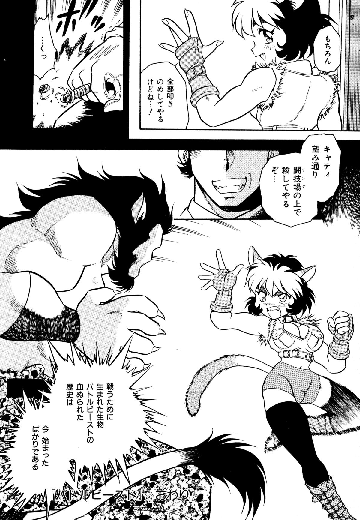 [アンソロジー] ネコまっしぐら!