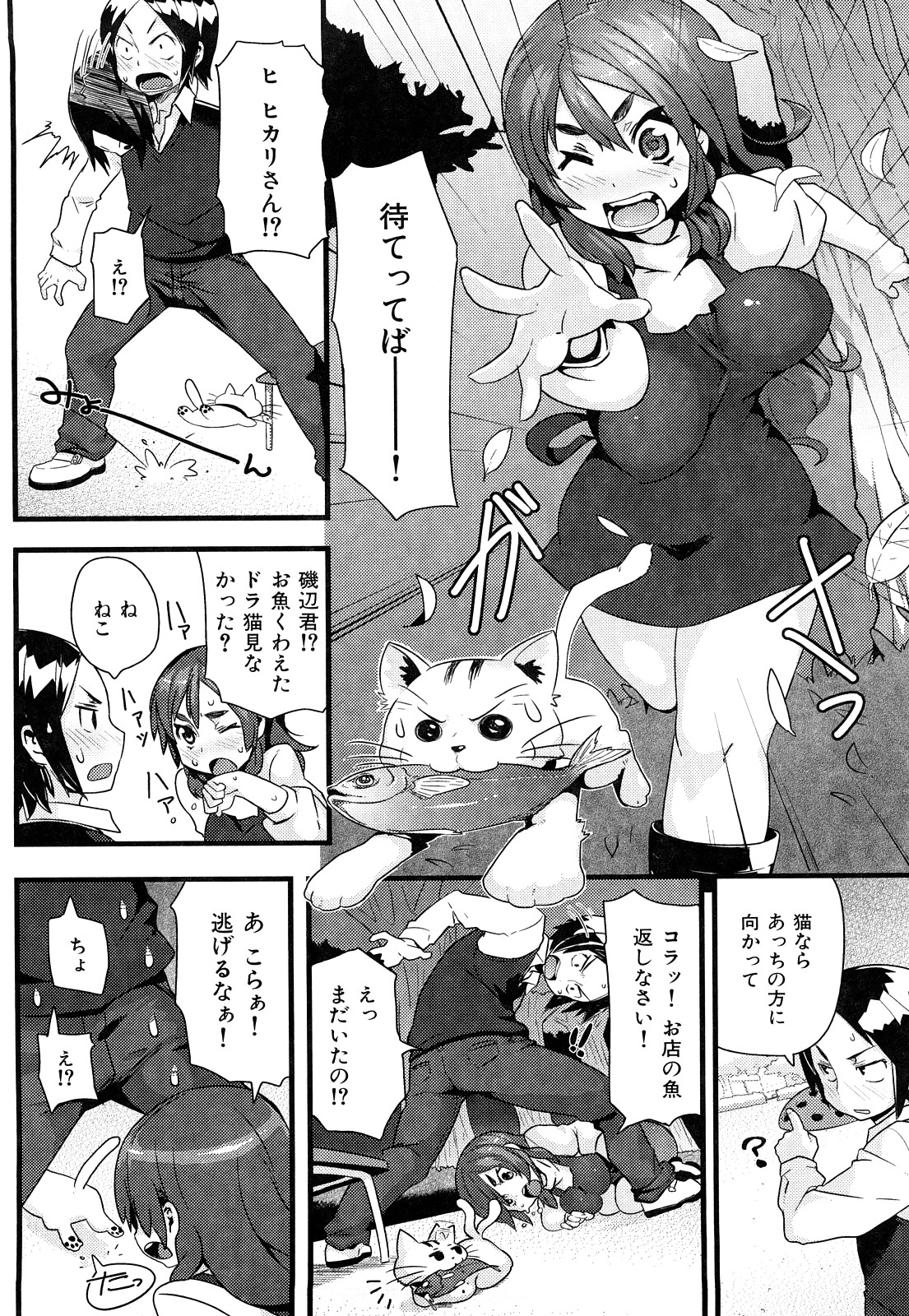 ミミカラオボエルN3