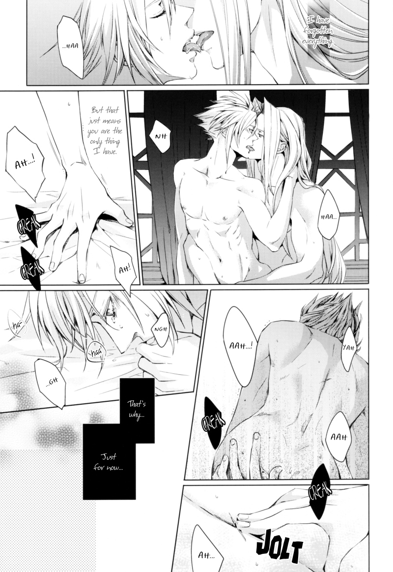 (C80) [nightflight (ユイ)] 記憶の庭 1 (ディシディア ファイナルファンタジー) [英訳]