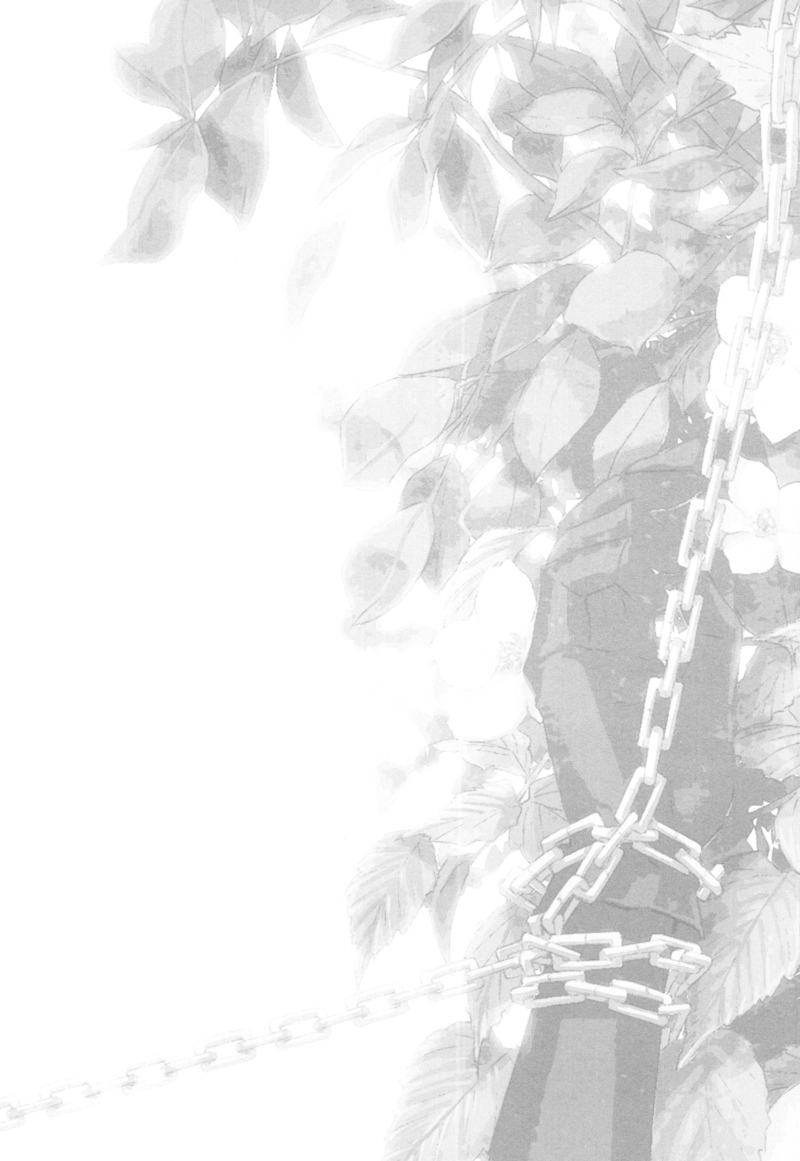 (C80) [nightflight (ユイ)] 記憶の庭 1 (ディシディア ファイナルファンタジー) [英訳]