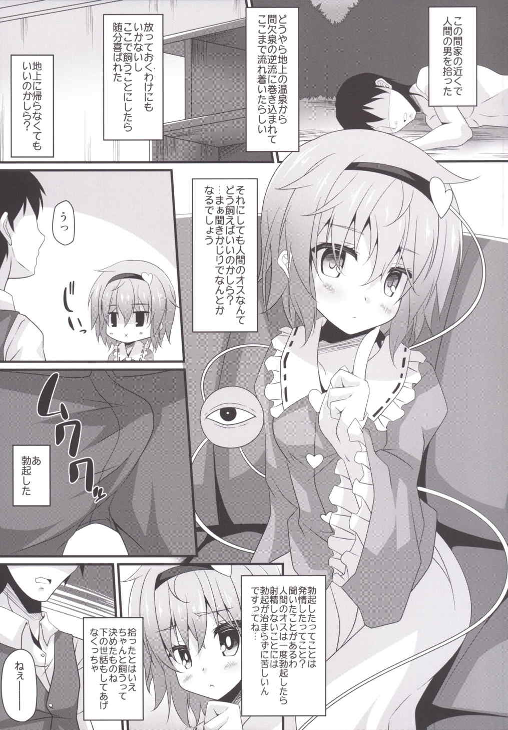 (例大祭12) [Right away (坂井みなと)] さとり式ペットの養い方 (東方Project)