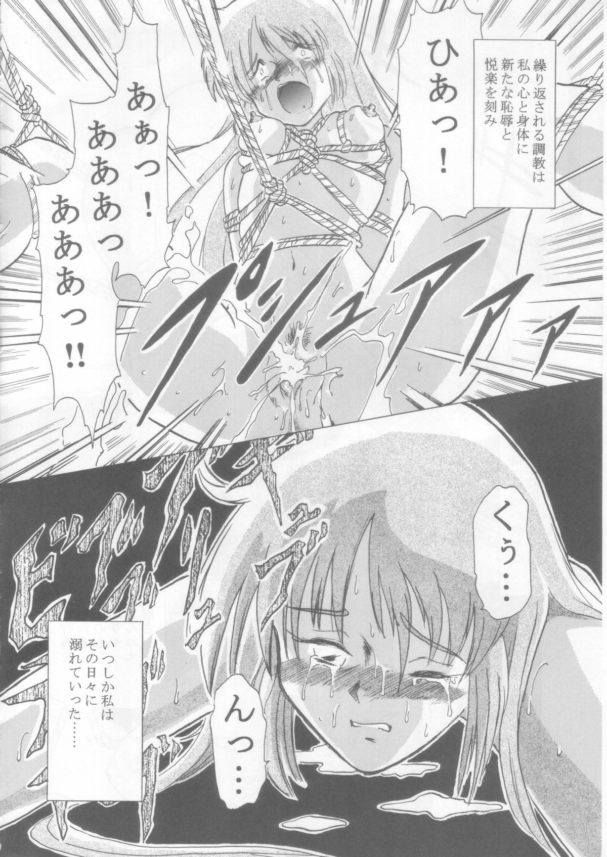 (C69) [ただいま戦闘中! (ひなのひろぴ)] シーラ様自由自在 3 (聖戦士ダンバイン)