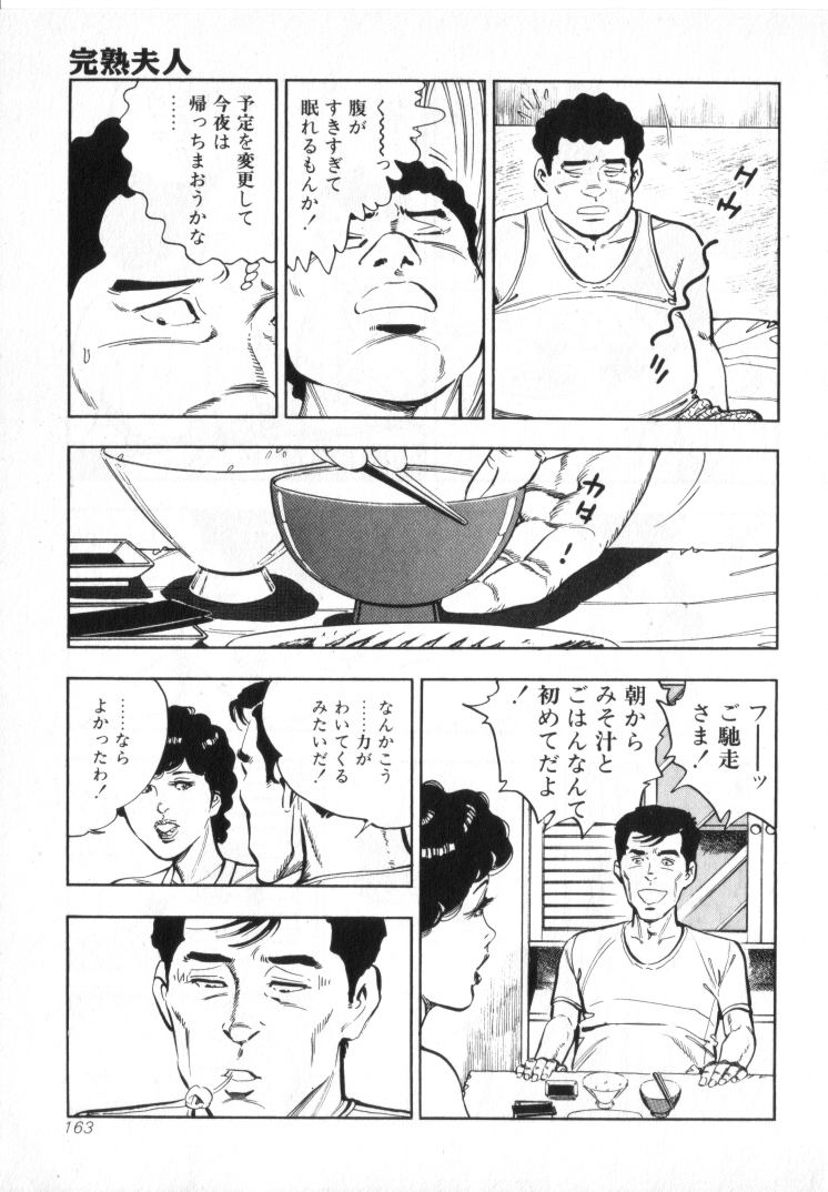 [城野晃] 完熟夫人
