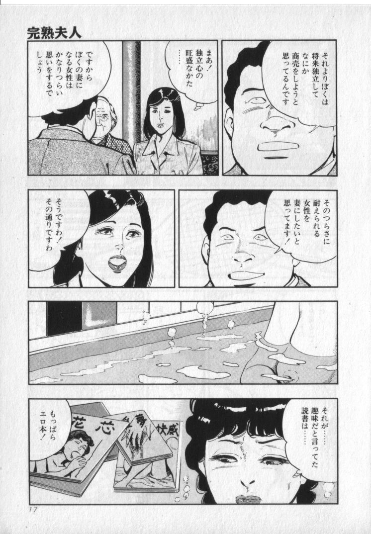 [城野晃] 完熟夫人