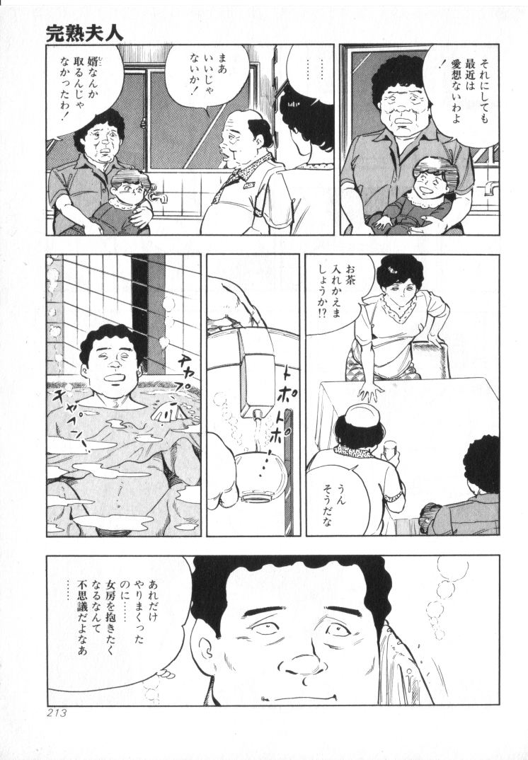 [城野晃] 完熟夫人