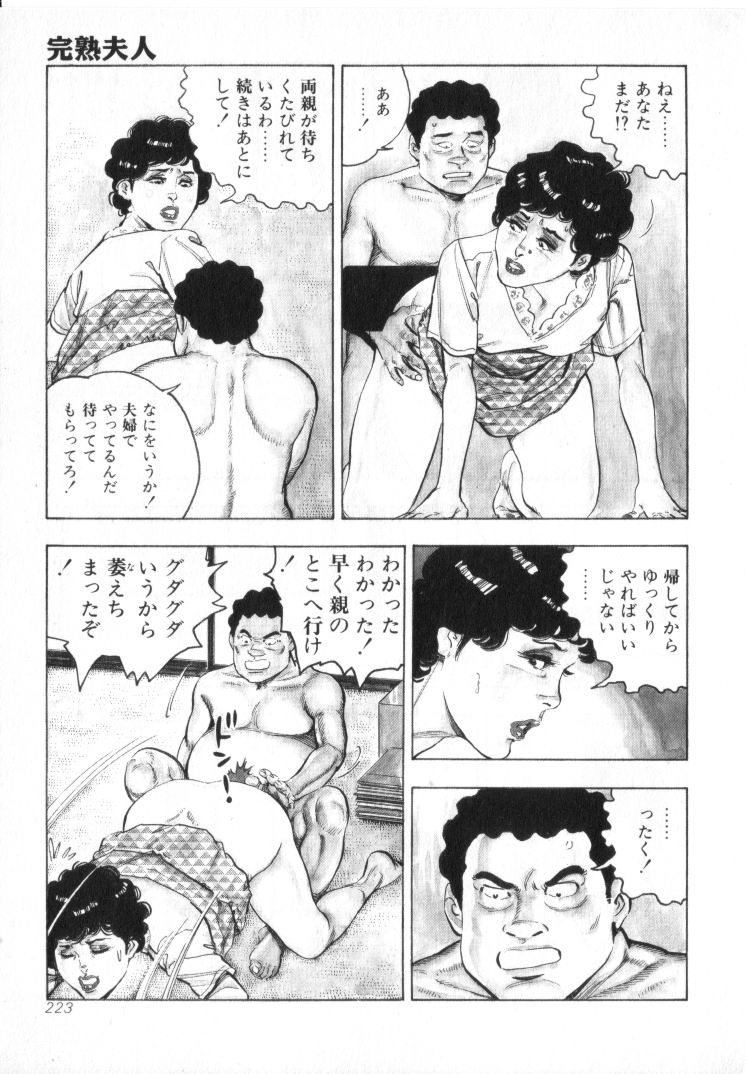 [城野晃] 完熟夫人