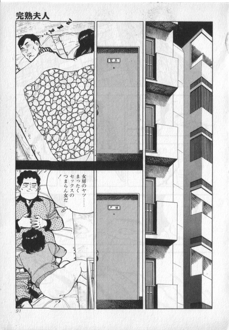 [城野晃] 完熟夫人