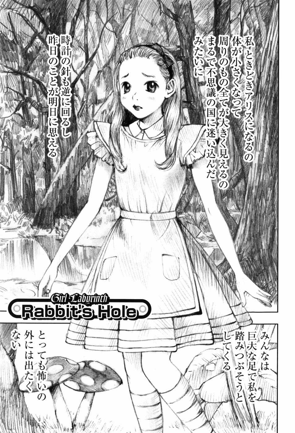 [中村みずも] 少女迷宮