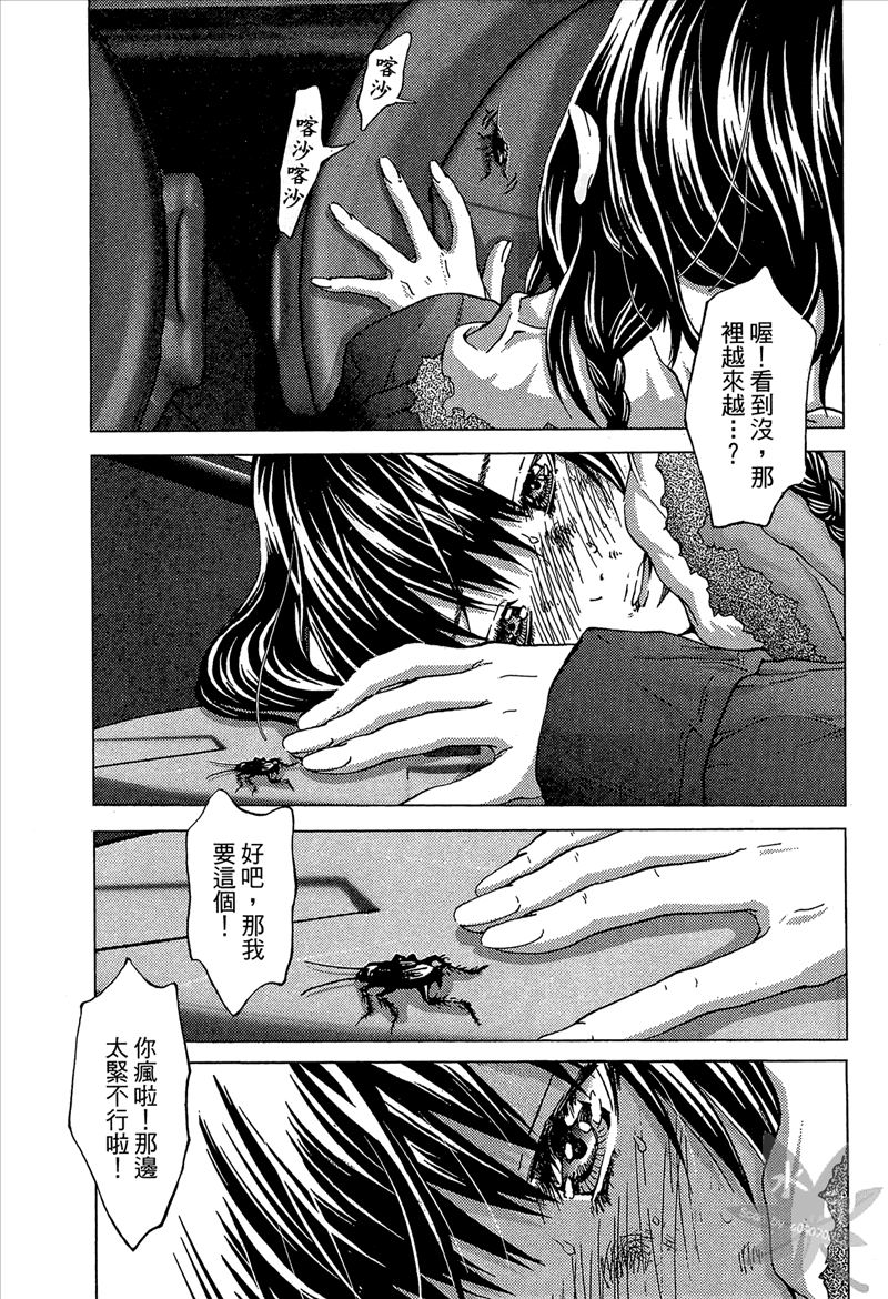 [宮崎摩耶] Blush-DC 〜秘・蜜〜 Vol.1