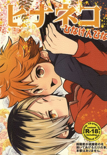 (IDLING ATTACKER7) [違んTORINO (S.濃すぎ)] ヒナネコ (ハイキュー!!)