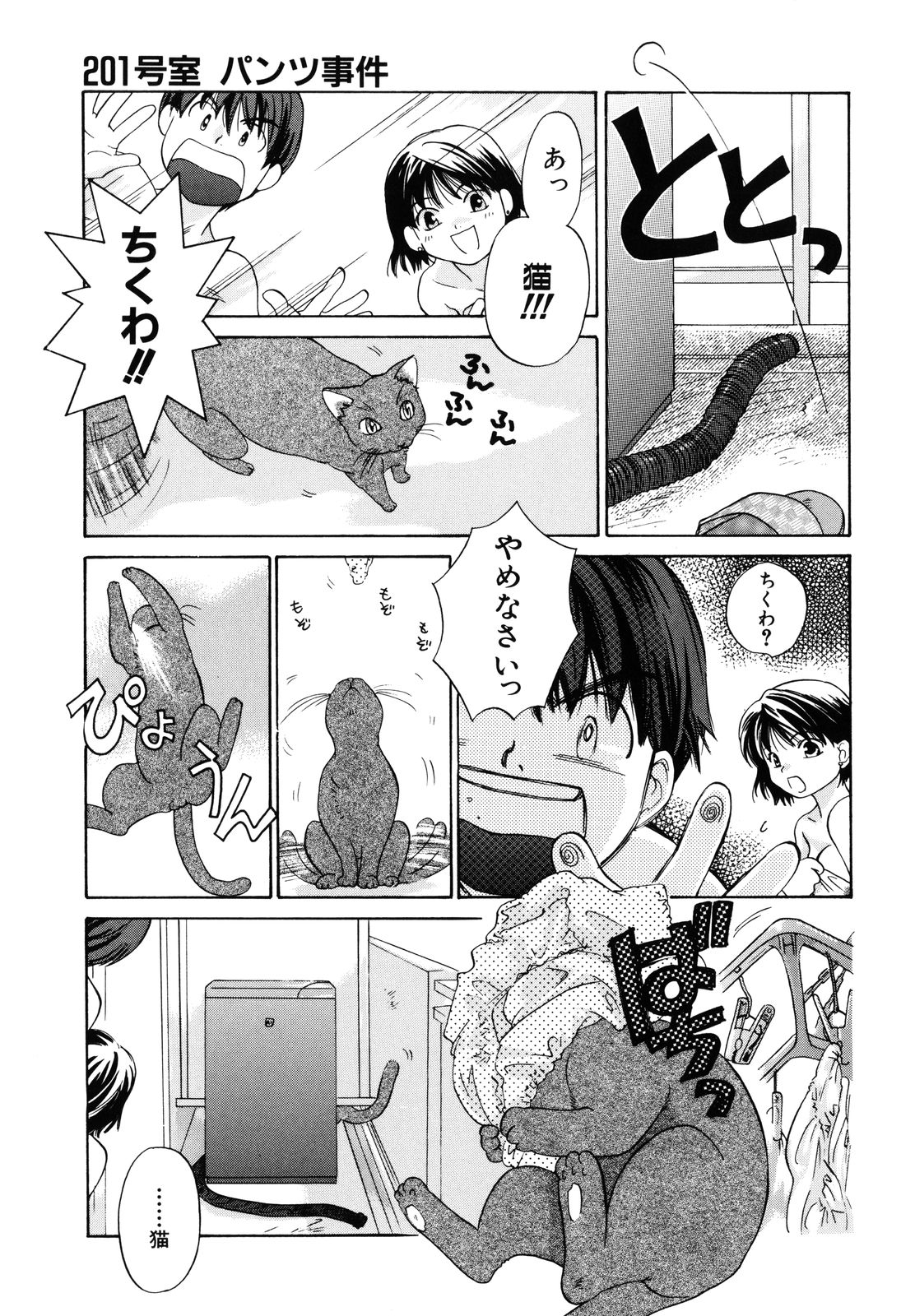 [甘夏真琴] 甘柑