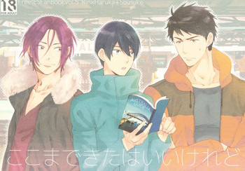 (C87) [KANGAROO KICK (高城たくみ)] ここまできたはいいけれど (Free!)