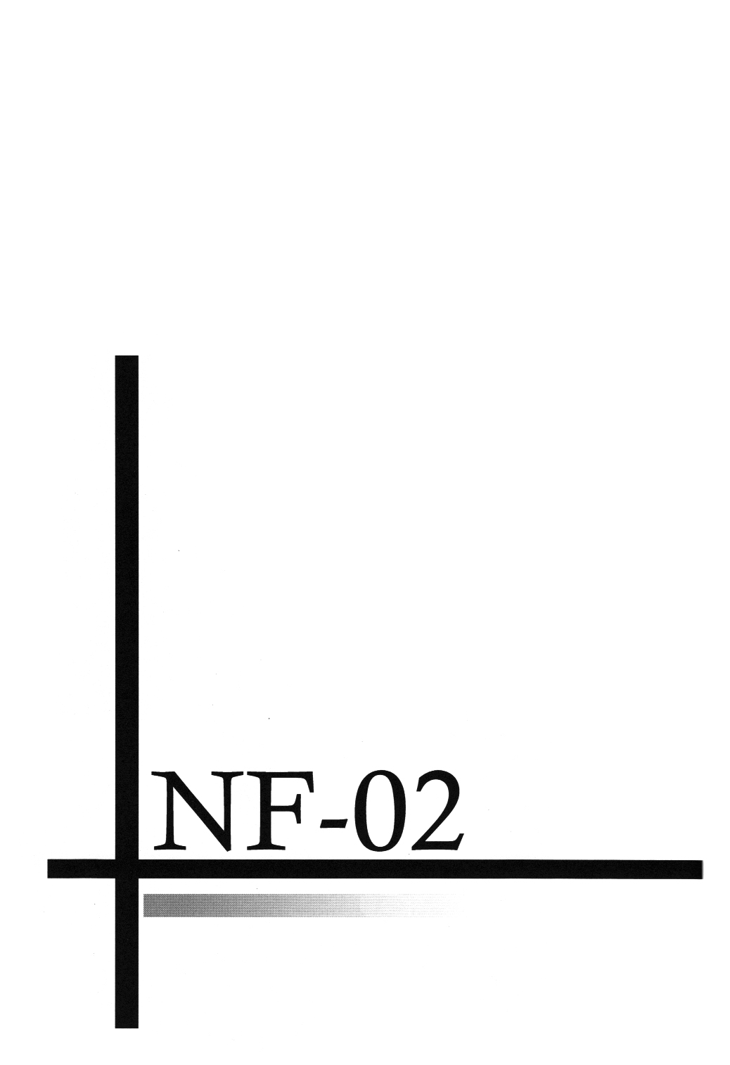 (C76) [夜の勉強会 (ふみひろ)] NF-02 (魔法少女リリカルなのは) [中国翻訳]