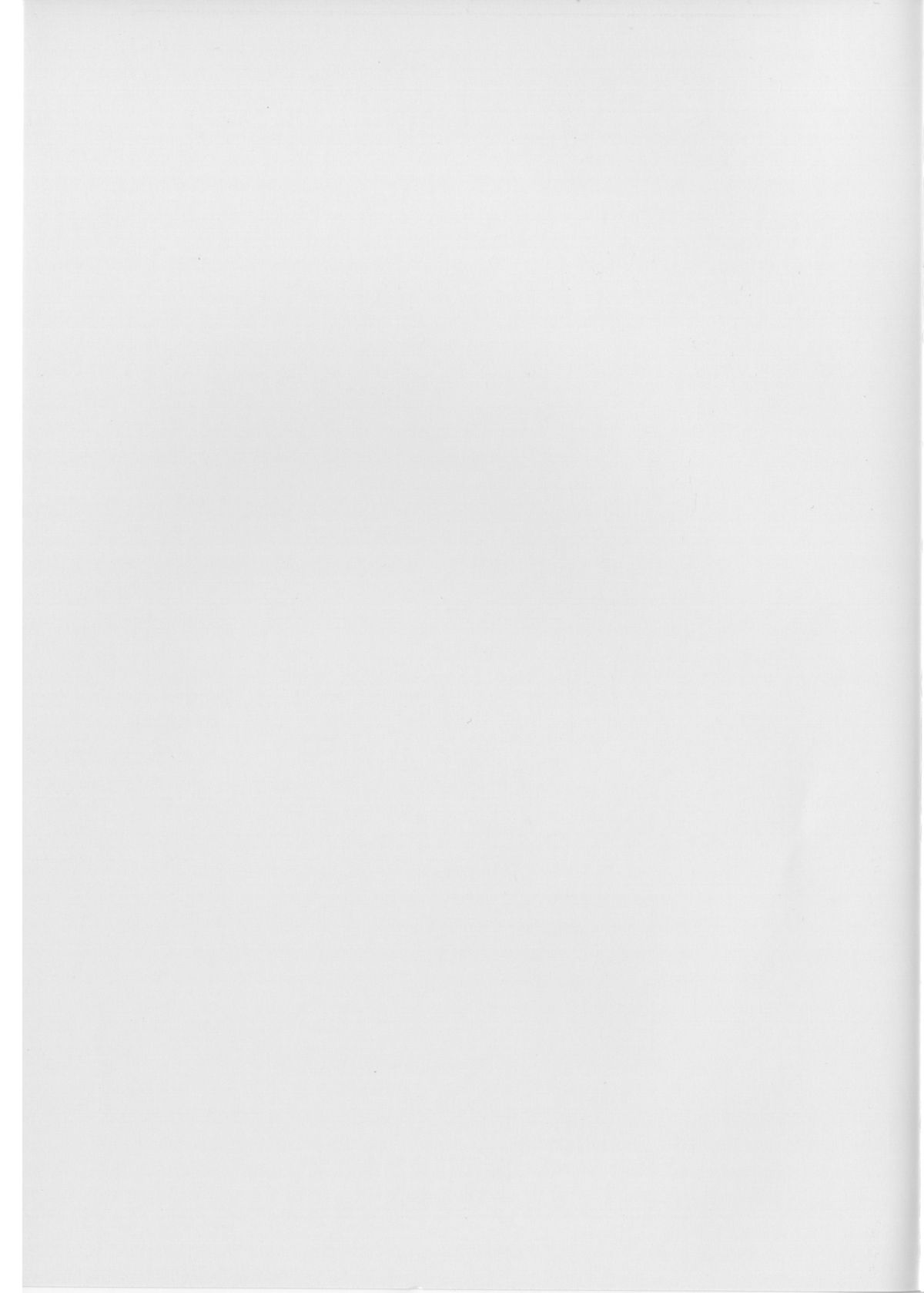 (C78) [甘味処USB (ふりり)] Operation BAYTOWN (ストライクウィッチーズ)