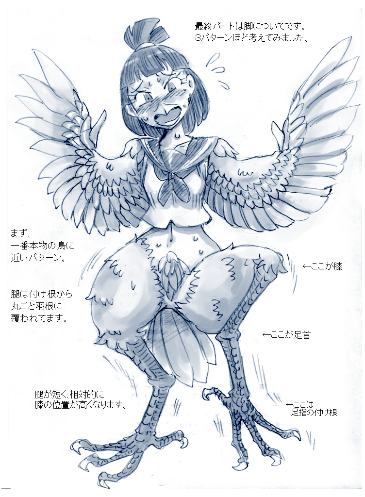 [こがねむし] 鳥TFに関する考察と練習