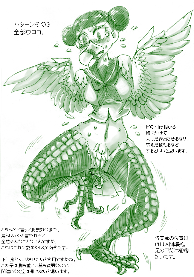 [こがねむし] 鳥TFに関する考察と練習