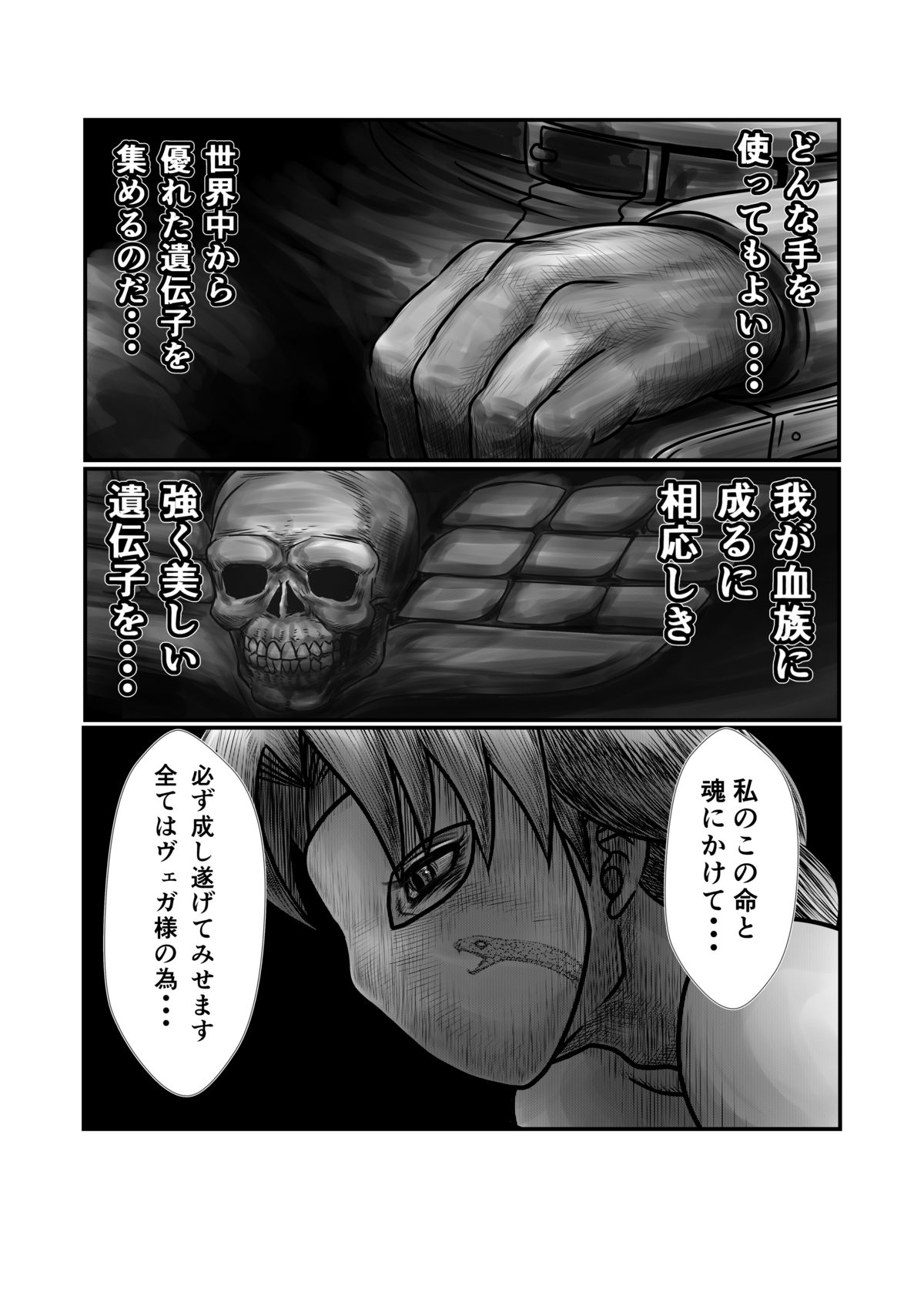 [のめりこむ] バヌログの死亡遊戯 (ストリートファイター)