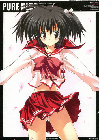 (C67) [LALA STUDIO (綾瀬しのむ)] PURE BLUE (トゥハート2)